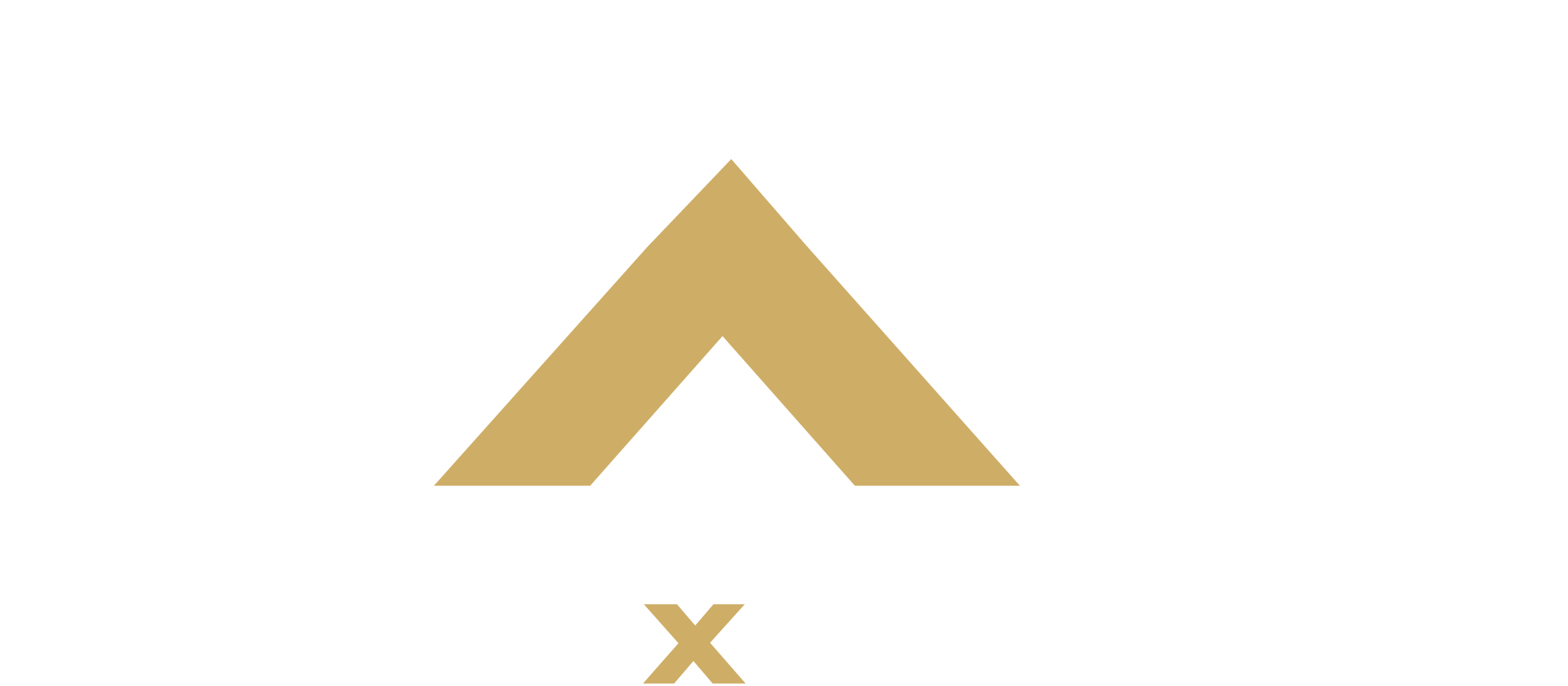 Legacy X Security logo